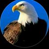 user56155859519391