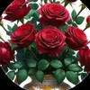 zrary376