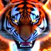 adb_229