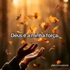 gustavohenriqueve70