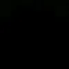 zah_3303