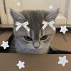 tornadolovercatlover1