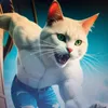 viciei.gatinho