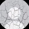 yurisantoslopes001
