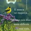 paulo.silva1604