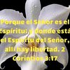 yuraimabarrios_7