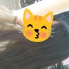 fina84257fina84257