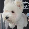iuk (I’ve met Ziyu)