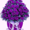 user9805911943870