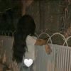 fatat.aniqa4