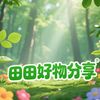 wang213167d