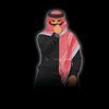 muhammad.talha1730