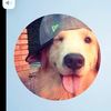 stealabrainrot_222