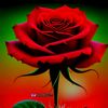 amshid101