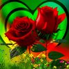 user1881901235668