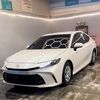 z_v6s