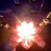ipe_681