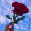 melisa.keskin29
