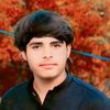 aryan.raja31