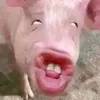 rat.bu34