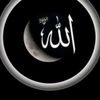 shahzaib90817