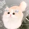 yukiii2037