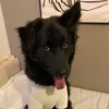 奥さんがでっけえ