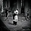 no1miennui36