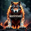 shams.wazir665
