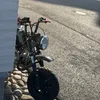raippi_manki123