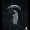 wai.yan37731