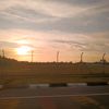 kuscing_335