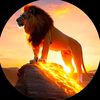ranahasnking2