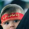 aliimran51214722
