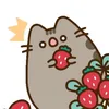 charmmykittyx33