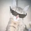 athenavscy1
