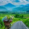 shwe14353