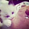 little_milk28
