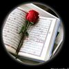 muhammad.tayyab8599