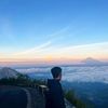 dwisaptt