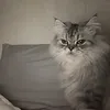 2842967_me