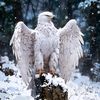 mrwrites61