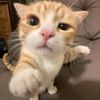 call.me.hlaing3
