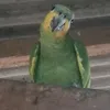 ser.feliz711