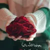 amina89460
