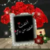 user25615387845756