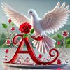 azim27755