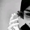 nvfgu8