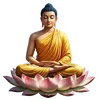 dongtochobui