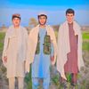 ali.asghar32410